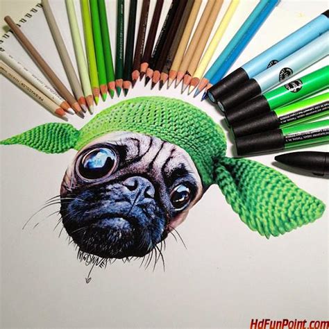 amazing funny animal art images amazing funny