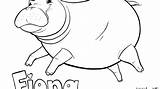 Fiona Hippo Cincinnati Hippopotamus Union sketch template