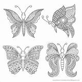Schmetterling Schmetterlinge Mandalas sketch template