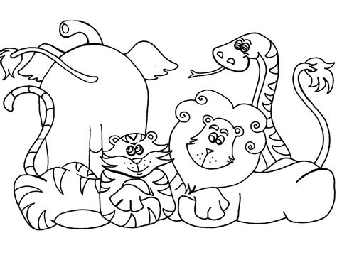 wild animal coloring pages  coloring pages  kids