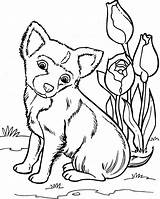 Kleurplaten Honden Dieren Huisdieren Hond Tekeningen Tekenen Kat Kleuren Afkomstig Katten sketch template