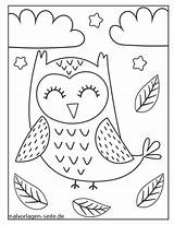 Eule Malvorlagen Eulen Ausmalbilder Ausmalen Schlafende Susse Owls Verbnow sketch template