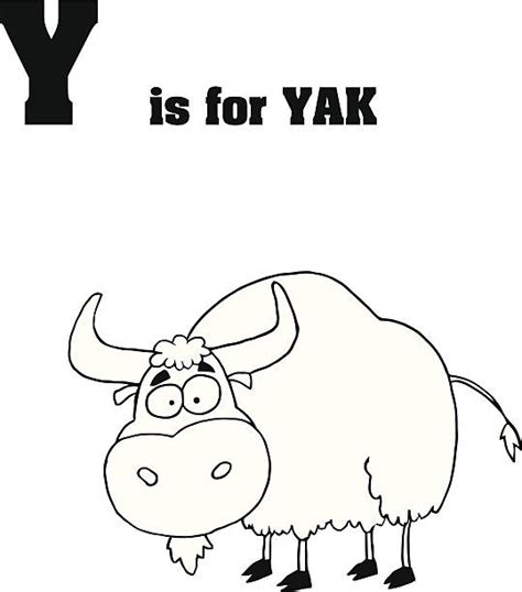 Black And White Yak Illustrations Royalty Free Vector Graphics And Clip
