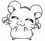 Hamtaro Kiwi Heartz Desenhos Colorir Hamster Cartoon Getcolorings sketch template