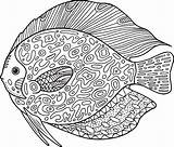 Erwachsene Zentangle Fisch Malvorlage Scarabocchio Coloritura Pesce Gekritzel Adulti Kleuren Versie Kleurrijke Poissons Dier Vectorielles Abstrait Libres Adultes Vissen Volwassenen sketch template