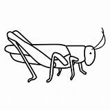 Saltamontes Infantil Grasshopper Niños Educación Menta sketch template