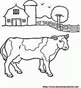 Coloriage 1347 Beef Boeuf Coloriages sketch template