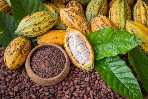 kakao kalorie wartosci odzywcze  wplyw na organizm jakie maja