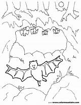 Coloring Bats Designlooter Dentistmitcham sketch template