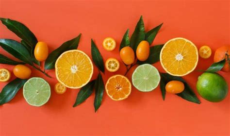 frutas citricas principais beneficios  variacoes mais populares