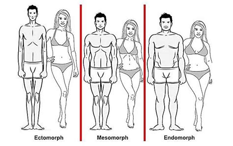 Know Your Body Type And Train It Right The Standard