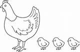 Hen Poule Poulet Coloriages Colouring Hens Poussin Chickens Colorier Webstockreview Ecosia Galinha Visiter Pngwing sketch template