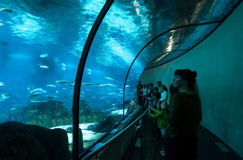 aquarium van barcelona  barcelona  info en openingstijden