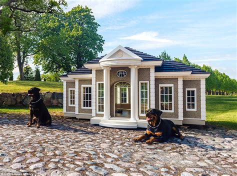 luxury dog kennels costing     bedroom home daily mail