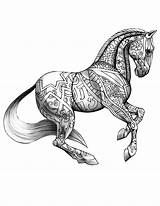 Horse Colouring Caballos Pferde Caballo Ausmalbilder Bailando Coloriages Equino Adulte Selah sketch template