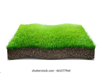 grass base images stock  vectors shutterstock