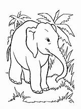 Dyr Tegninger Elefanti Elephants Elefante Animales Elefanten Animali Colorat Kids Imagini Fargelegge Colorare Dieren Fisa Tekeningen Planse Animais Fargelegging Fargelegg sketch template