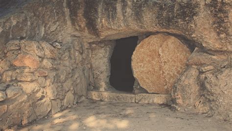 sealing  tomb  jesus olive tree blog