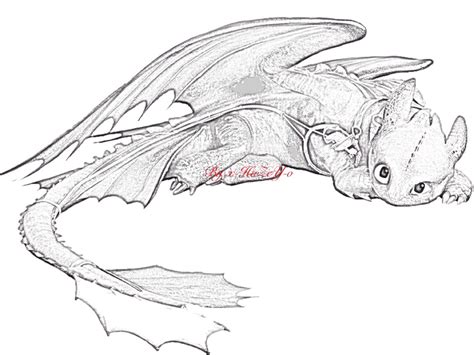 toothless pencil drawing drawings dragon drawing   train images