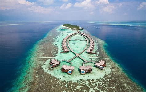 Lily Beach Resort And Spa Malediven Jetzt Günstig Buchen Ewtc