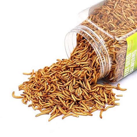 sequoia reptile food freeze dried mealworms pet worms food  chickens ducks wild birds