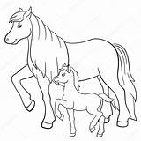 Kleurplaten Paarden Veulens Ponys Kleurplaat Uitprinten Downloaden Paard sketch template