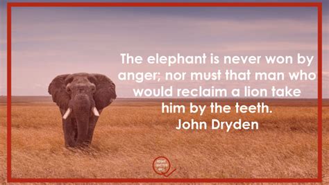 elephant quotes best platforms to find the perfect word