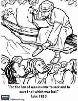 Bible Coloring Luke Pages Story Kids Zacchaeus Cartoon Choose Board Son Item sketch template
