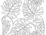Coloring Plants Pages Leaves Rainforest Printable Jungle Sea Drawing Plant Leaf Template Ocean Getcolorings Getdrawings Paintingvalley Kids Colorings Color sketch template