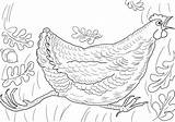 Henny Penny Sky Coloring Falling Screaming Pages Supercoloring Printable sketch template