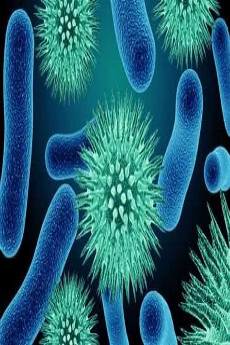 nih approves  study  understand  pathogens evolve  indian wire