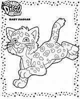 Kleurplaat Tigre Dora Exploradora Kleurplaten Dier Coloriages sketch template