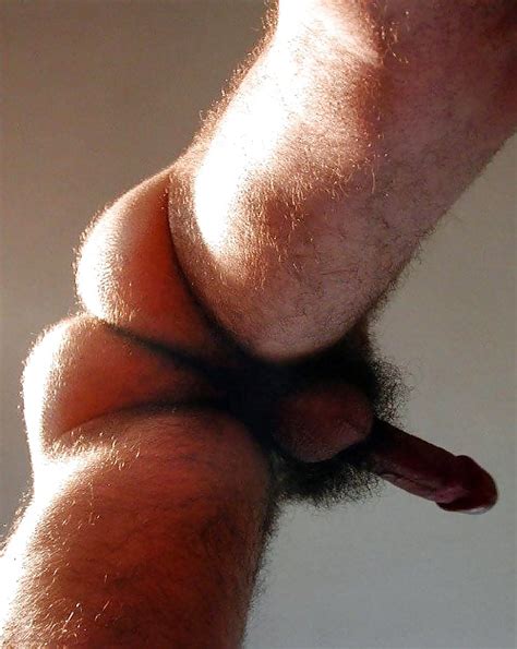 Cul Poilu Sexy Gay Hairy Ass 15 Pics Xhamster