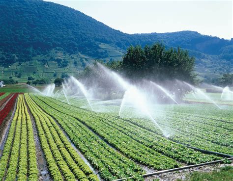 irrigation  rajasthan area sources types potential rajrasin