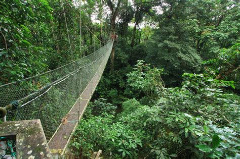 Tourist Guide To Gunung Mulu National Park Malaysia