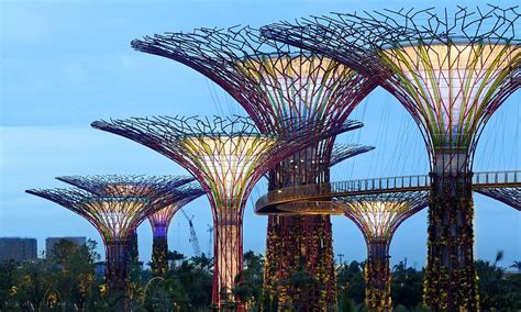Gardens By The Bay Supertrees Of Singapore Light Up Night