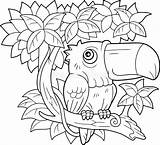 Toucan Drôle Reposant Générale Oiseaux Adultes sketch template