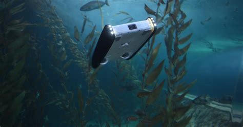 openrov  consumer friendly underwater drones  explore  deeps