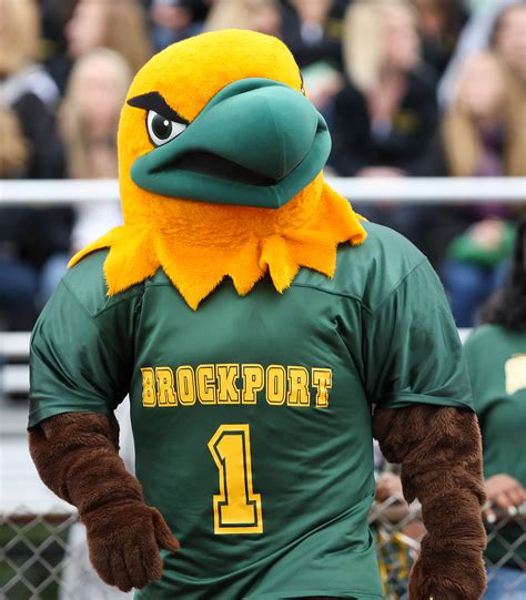 mascot madness  meet  mascots genesee region big ideas blog