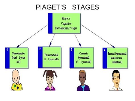 piagets theory  cognitive development outline piagets theory