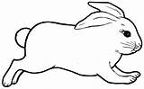 Rabbit Outline Bunny Coloring Pages Animal Template Drawing Colouring Templates Jumping Rabbits Printable Realistic Clipart Print Bunnies Cute Easter Real sketch template