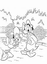 Disney Paperino Paperina Sgrida Donaldduck Coloradisegni Classici Pato Colorir Trickfilmfiguren Malvorlage sketch template