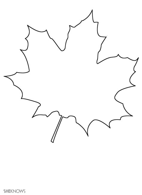 maple leaf coloring pages cooloringcom
