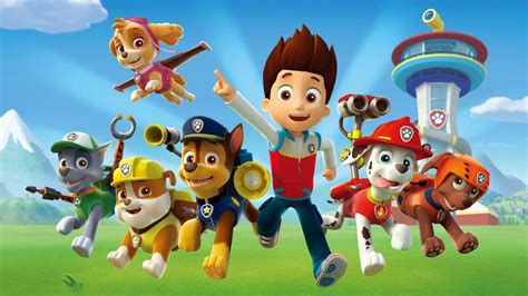 paw patrol helfer auf vier pfoten staffeln und episodenguide alle infos zur kinderserie