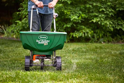 plant grass seeds  lawn mowing king