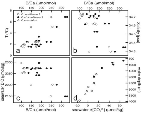 foraminiferal bca   temperature  salinity  seawater dic