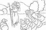 Coloring Shepherd Good Parable Pastore Buon Schaap Verloren Kleurplaat sketch template