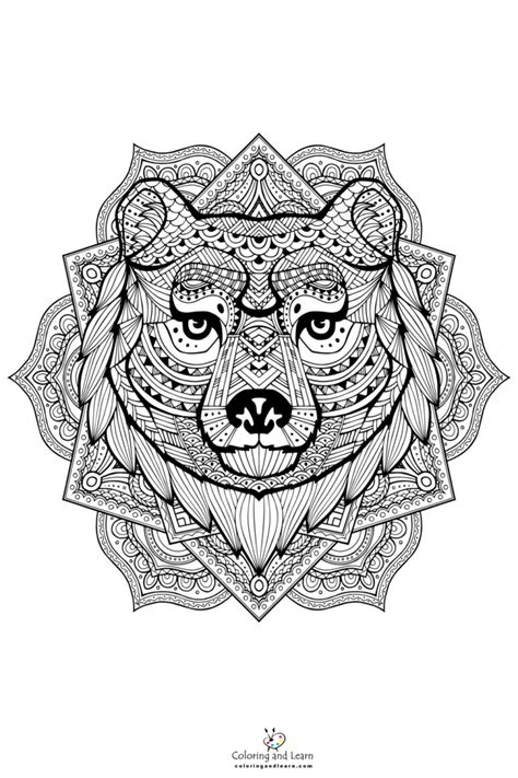 bear face coloring page   coloring  learn