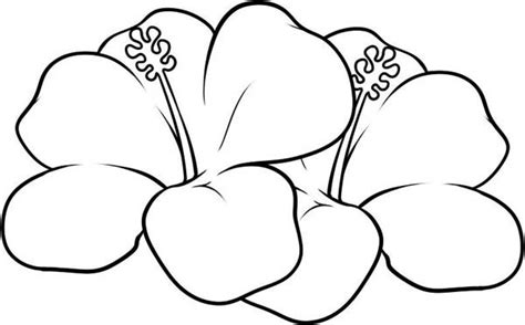 hawaiian flower coloring pages coloring home