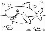 Shark Whale sketch template